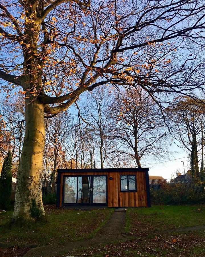 Cozy Snowdonia Chalet Caernarfon Zewnętrze zdjęcie